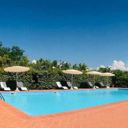 Villa Lavinia B&B Montescudaio Extérieur photo