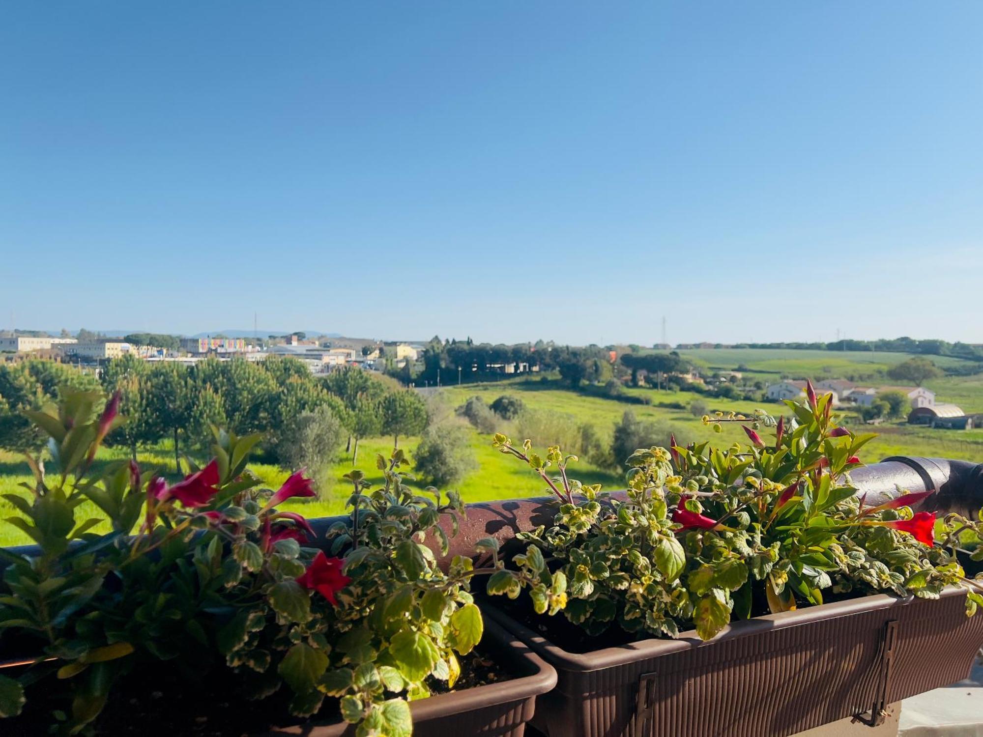Villa Lavinia B&B Montescudaio Extérieur photo