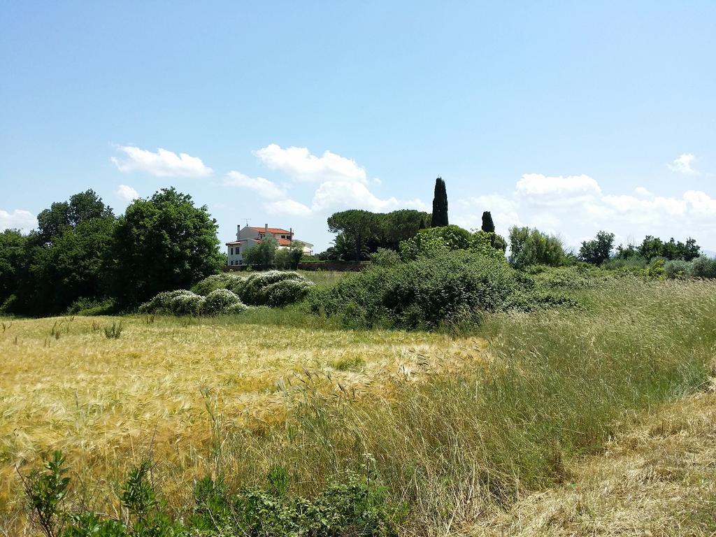 Villa Lavinia B&B Montescudaio Extérieur photo